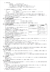 弁護士法人小寺・松田法律事務所弁護士報酬規程３ページ目
